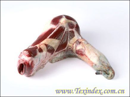 �i�����ļҾ���Ʒ�������