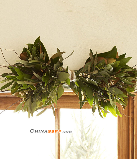 ʥ�Q���������@Щ�b�Ʒ