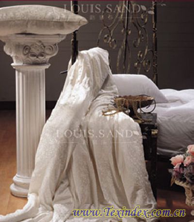 �����Q�z���ı��B(y��ng)�cʹ��