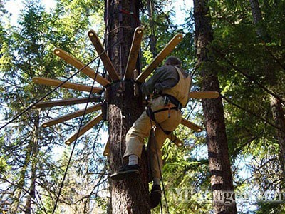 ������˼��(chu��ng)�����w�Ƅ�(d��ng)����