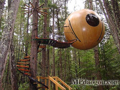 ������˼��(chu��ng)�����w�Ƅӷ���