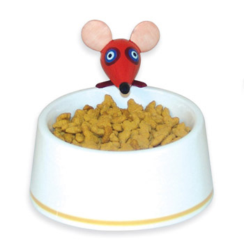 8��ɐ۟o(w��)����؈؈ʳ�胺