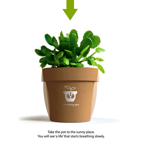 ��(hu��)���������Ļ��脓(chu��ng)��ɫ��