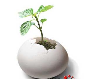 �õ�����(chu��ng)�����(j��ng)��Ҿ��Ʒ