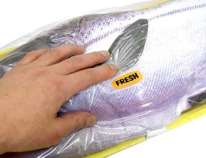 �@�������r�����~������