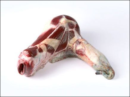 �вţ��i�����ļҾ���Ʒ