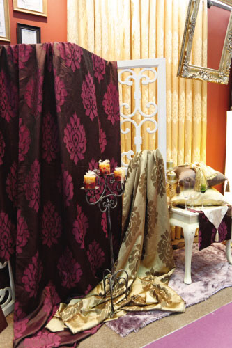 2008���ڇ��H�Ҽ�չ͹�@�������c