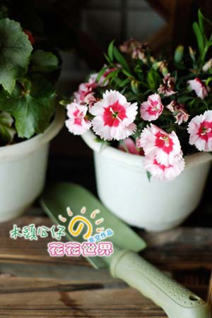 ľ�^���л�ζͯ��Ļ�������