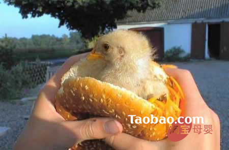 �gЦ�r�����˹�(ji��)�������