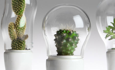 ����(j��)��Ц����ѝ�ӵ�����