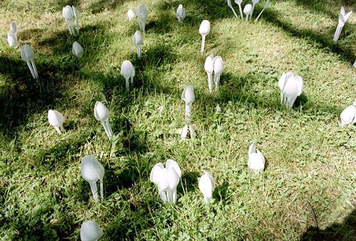 һ���Բ;�ƴ���e��ˇ�g