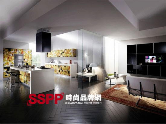 scavolini2010������Ƥ�L(f��ng)��