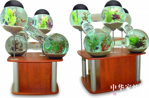 ����������Ą�(chu��ng)���~(y��)��