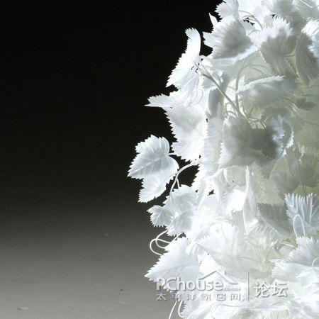 ���׵Ę��~�����Є�(chu��ng)�⵫�ܹª�(d��)