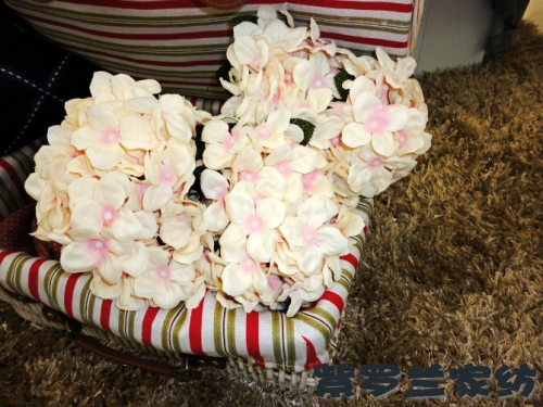 ���_�mƷ�ƘO���貼���(ji��)