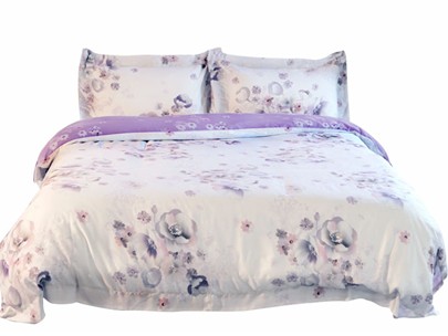 ���m�Ҽ�?f��)Ƴ��W(w��ng)ُ(g��u)ֱ�NƷ��Bassi