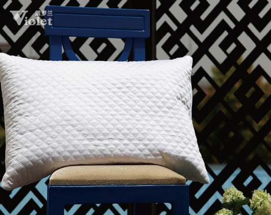 Ʒ�ƼҼ����_�m ׌��������ҹ�o�n