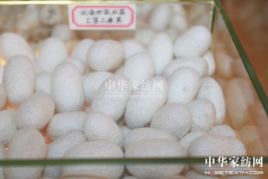 ���Q���Һ���ֱ�I(y��ng)��A���_�I(y��)