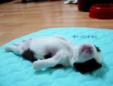 �H�������˯һС�r����