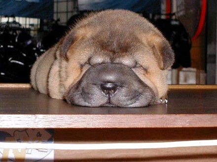 �H�������˯һС�r����