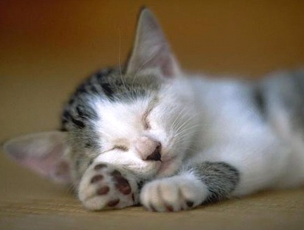 �H�������˯һС�r����