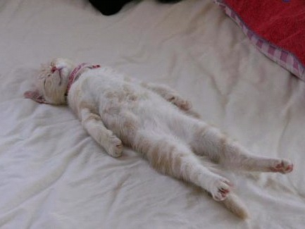 �H�������˯һС�r����