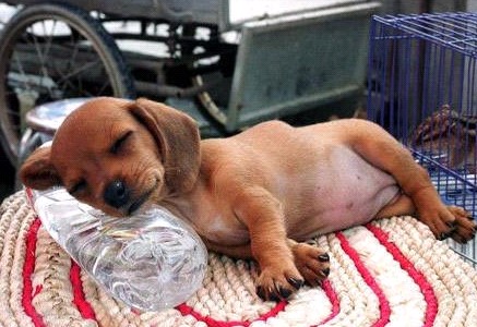 �H�������˯һС�r����