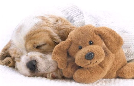 �H�������˯һС�r����