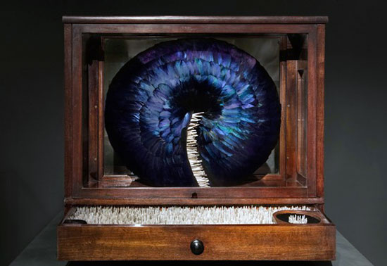 ��(chu��ng)�����}����(d��ng)ϵ����ë����