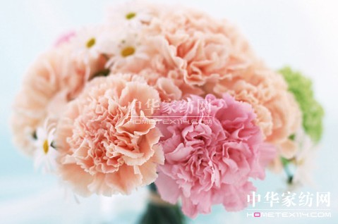 ĸ�H��(ji��)��׌�Ҽ����o������˯��