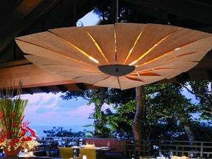 6��ľƤ�����I(y��ng)�����L(f��ng)��(��)