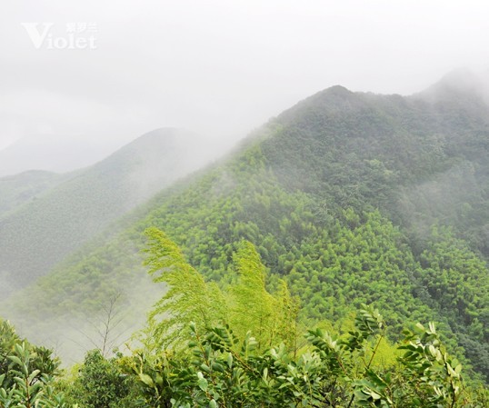 ���_�m�Ј�(ch��ng)����ɽ��չ����(xi��)�����ŗ��ĈF(tu��n)�(du��)����