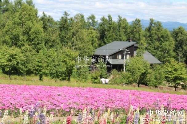 ����Ҽ���푡����ڲ��������ϱ����������������