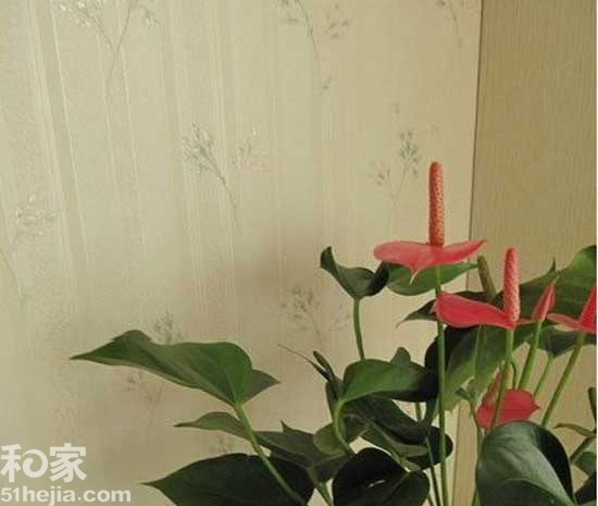 15���黨�ڼ�?b��o)w�(y��n)��ˬ��@�L(f��ng)(��)