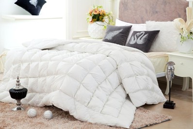 �W�ɼҼ���������xُ��о