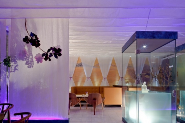 ʯ�����ӛ��