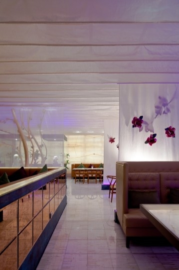 ʯ�����ӛ��