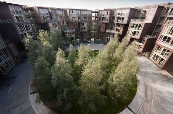 ����W(xu��)�����`�Ё����Ї�����(��)