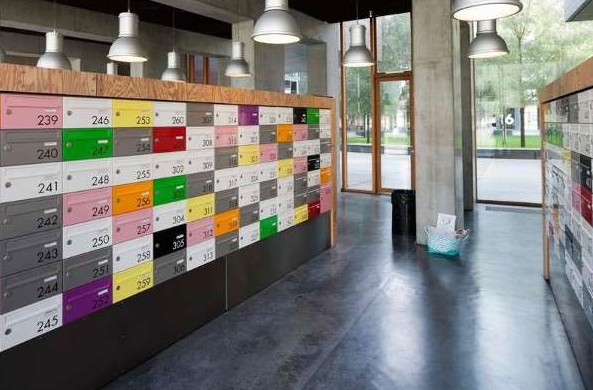 ����W(xu��)�����`�Ё����Ї�(gu��)����(��)