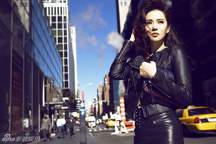 �����oӲ�Ɍ���������f������