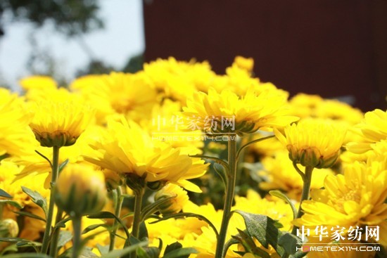 ���z�Ҽ����������B(y��ng)����(l��i)