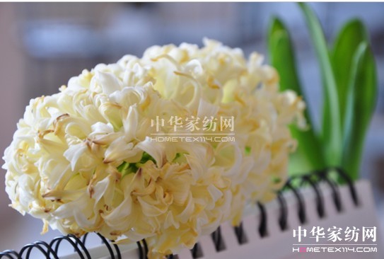 ���z������էů ��(��i)�����C(j��)