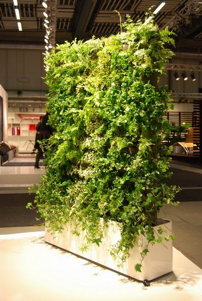 ׌��ɫ�M�ݵ��k���^(q��)�҃�(n��i)�Gֲ