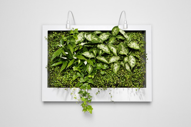 ׌��ɫ�M�ݵ��k���^(q��)�҃�(n��i)�Gֲ