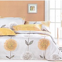 �p���w�P(y��ng)���S��