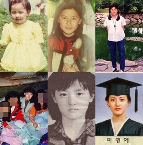 ��Ӣ��(��i)���L(zh��ng)�f���ع� ������