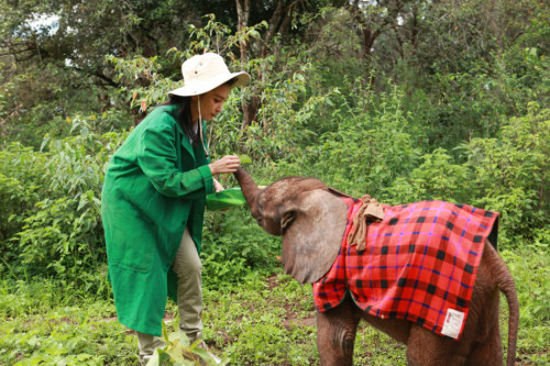 ���������"׃��"�����h�����J(r��n)�B(y��ng)����