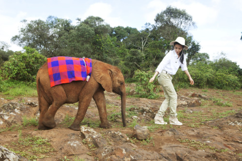 ���������"׃��"�����h�����J�B(y��ng)����