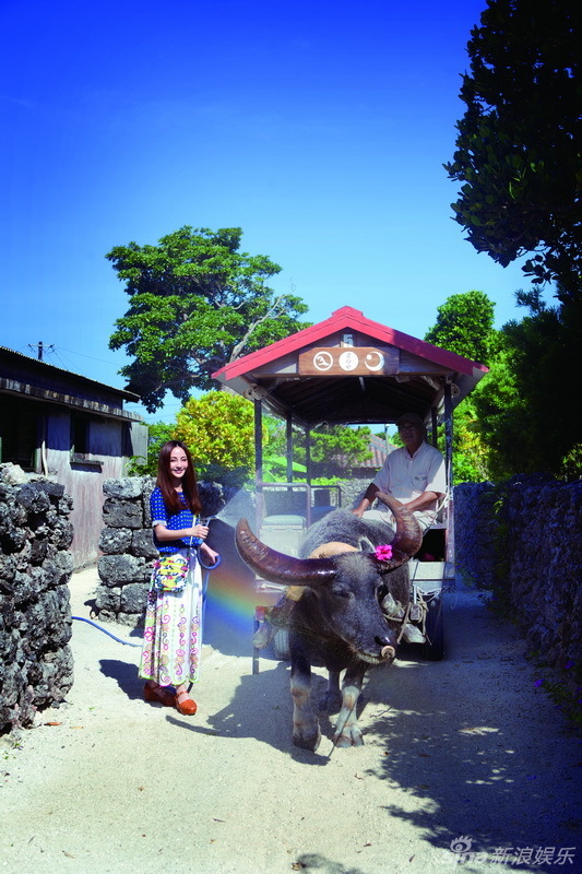 Ҧ���������Ό��� ጷſ옷(l��)��w