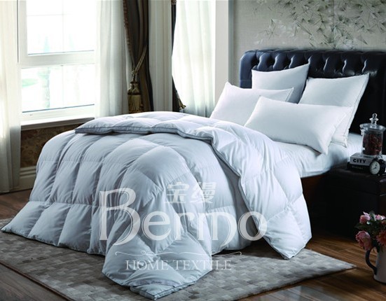 ���z�Ҽ�����¶���㡱��������